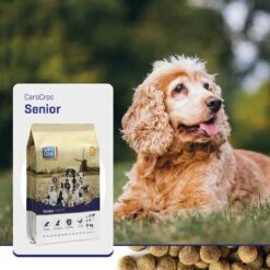 Carocroc Senior Silver 18/10 - Hondenvoer - 15 Kg -Hondenspullen Verkoop 1200x1200 140