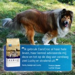 Carocroc Senior Silver 18/10 - Hondenvoer - 15 Kg -Hondenspullen Verkoop 1200x1200 142