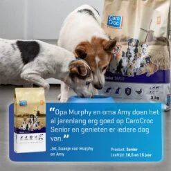 Carocroc Senior Silver 18/10 - Hondenvoer - 15 Kg -Hondenspullen Verkoop 1200x1200 143