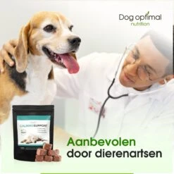 RUST EN KALMEREN CALMING Support 90 Stuks - Kalmeren - Antistressmiddel - Hond - Hondenkoekjes - Hondensupplementen - Honden - Puppy - Hondenvoeding -Hondenspullen Verkoop 1200x1200 162