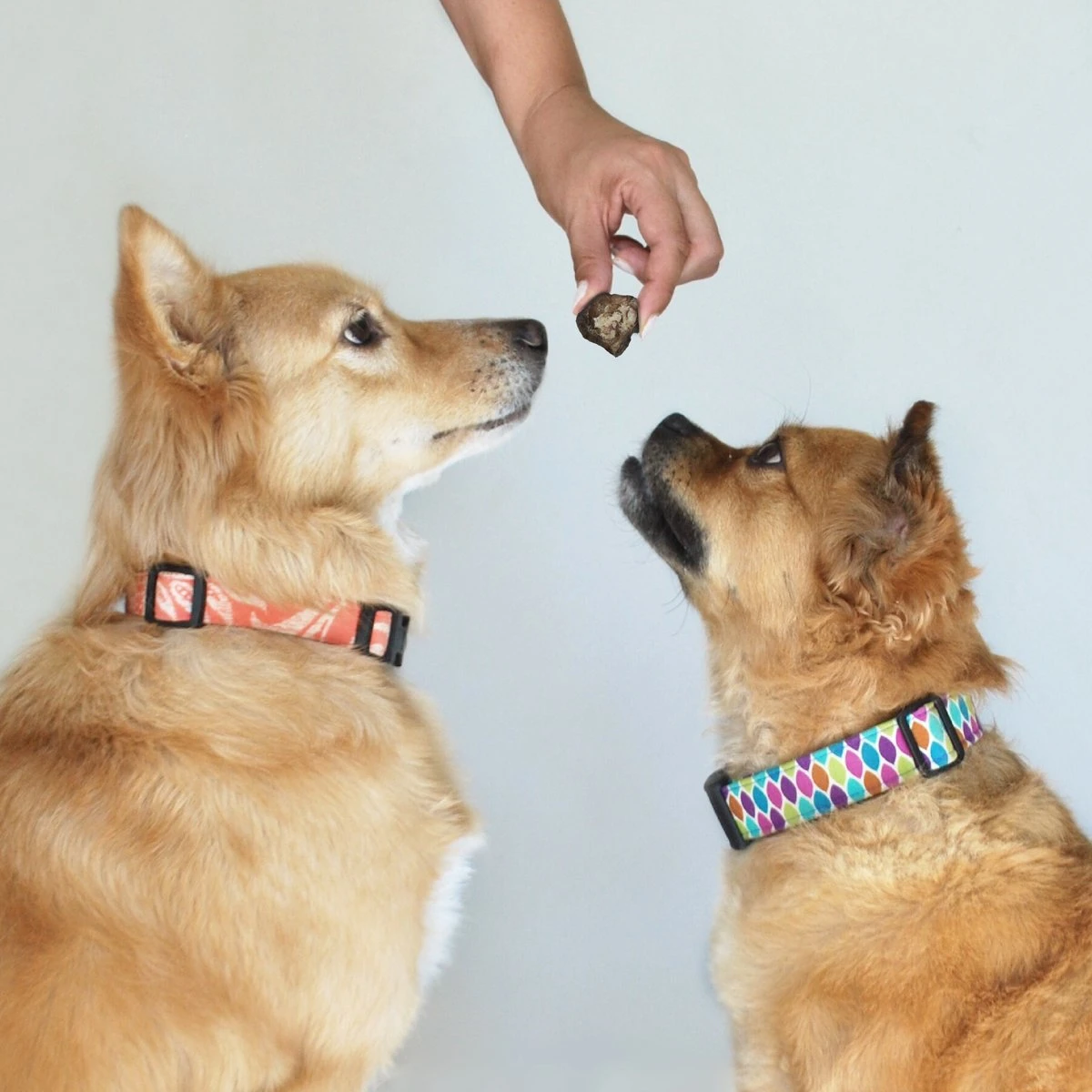 Topdiervoeding Lamslong Hondensnacks - Vers Gedroogd - Knapperig - 1 KG 5 Topdiervoeding Lamslong Hondensnacks - Vers Gedroogd - Knapperig - 1 KG - Afbeelding 3