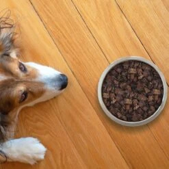 Topdiervoeding Lamslong Hondensnacks - Vers Gedroogd - Knapperig - 1 KG 10 Topdiervoeding Lamslong Hondensnacks - Vers Gedroogd - Knapperig - 1 KG -Hondenspullen Verkoop 1200x1200 174