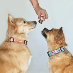 Topdiervoeding Runderlong Trainers Hondensnacks - Gedroogd En Vetarm - 1 KG 10 Topdiervoeding Runderlong Trainers Hondensnacks - Gedroogd En Vetarm - 1 KG -Hondenspullen Verkoop 1200x1200 181