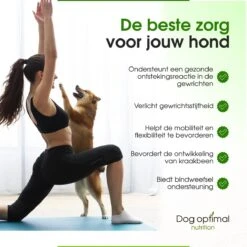 DOG OPTIMAL Gewricht Supplement 120 Stuks - Mobility - Glucosamine Hond - Artrose - Heupdysplasie - Gewrichten - Hondensnacks - Hondenkoekjes - Hondensupplementen - Honden - Puppy - Hondenvoeding -Hondenspullen Verkoop 1200x1200 192