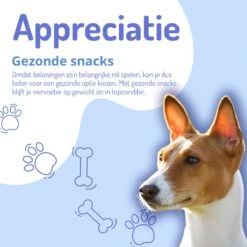 Animalgoods Gedroogde Snacks - Hondensnack - Varken - Varkensoorstukjes - 500 Gram - Hondensnacks - Honden - Snacks -Hondenspullen Verkoop 1200x1200 196