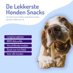 Animalgoods Gedroogde Snacks - Hondensnack - Varken - Varkensoorstukjes - 500 Gram - Hondensnacks - Honden - Snacks -Hondenspullen Verkoop 1200x1200 199