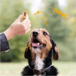 Merkloos Edgard & Cooper Lam & Rund Bites - Voor Honden - Hondensnack - 50g -Hondenspullen Verkoop 1200x1200 220
