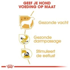 Royal Canin Chihuahua Pouch (12X85 GR) 14 Royal Canin Chihuahua Pouch (12X85 GR) -Hondenspullen Verkoop 1200x1200 230