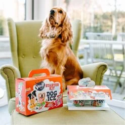 Smoofl Honden Lekkernij - Starter Kit Om Je Eigen Honden Ijs Te Maken, Kit Met 2 Ijsmixen Voor Honden, Pindakaas En Aardbei Smaak, Een Pootvormige Silicone Vorm - Voor 4 Hondenijsjes -Hondenspullen Verkoop 1200x1200 24