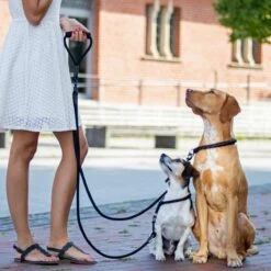 Rebel Petz - Dubbele Verstelbare Hondenriem Voor Twee Honden - Met Draaibare Sluiting En Zacht Handvat - Small En Large - Small (140 Cm Lang, Ø 8 Mm) 39 Rebel Petz - Dubbele Verstelbare Hondenriem Voor Twee Honden - Met Draaibare Sluiting En Zacht Handvat - Small En Large - Small (140 Cm Lang, Ø 8 Mm) -Hondenspullen Verkoop 1200x1200 256