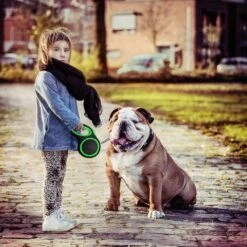 IGOODS - Hondenriem - Katten Riem - Uitlaatriem Voor Honden En Katten - Honden Riem- Rollijn - 5 Meter Lang 17 IGOODS - Hondenriem - Katten Riem - Uitlaatriem Voor Honden En Katten - Honden Riem- Rollijn - 5 Meter Lang -Hondenspullen Verkoop 1200x1200 269