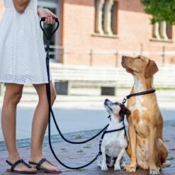 Rebel Petz - Dubbele Verstelbare Hondenriem Voor Twee Honden - Met Draaibare Sluiting En Zacht Handvat - Small En Large - Large (140 Cm Lang, Ø 12 Mm) 31 Rebel Petz - Dubbele Verstelbare Hondenriem Voor Twee Honden - Met Draaibare Sluiting En Zacht Handvat - Small En Large - Large (140 Cm Lang, Ø 12 Mm) -Hondenspullen Verkoop 1200x1200 295