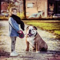 IGOODS - Uitlaatriem - Honden Riem - Katten Riem - Uitlaatriem Voor Dieren - Rollijn - 5 Meter Lang Roze -Hondenspullen Verkoop 1200x1200 310