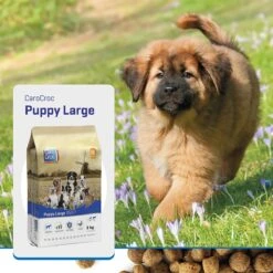 Carocroc Puppy Large Breed 15 KG -Hondenspullen Verkoop 1200x1200 32