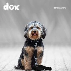 DDOXX Hondenriem Air Mesh, 3-voudig Verstelbaar, 2m | Voor Kleine & Grote Honden | Dubbele Riem Twee Honden Kat Puppy | Tug Leash Large | Lead Leash Small | Walking Leash Puppy Leash | Zwart, XS -Hondenspullen Verkoop 1200x1200 349