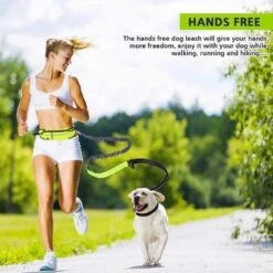 Hondenriem Hardloopriem Elastische Reflecterende Geschikt Voor Hardlopen - Handsfree Riem Met Opbergtasje – Hond Looplijn - Schokabsorberend - Groen -Hondenspullen Verkoop 1200x1200 355