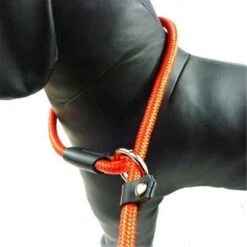 LOUZIR Cesar Millan Sliplijn Met Stop - Hondenriem - Rood - 130 Cm -Hondenspullen Verkoop 1200x1200 358