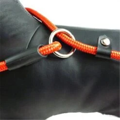 LOUZIR Cesar Millan Sliplijn Met Stop - Hondenriem - Rood - 130 Cm -Hondenspullen Verkoop 1200x1200 361