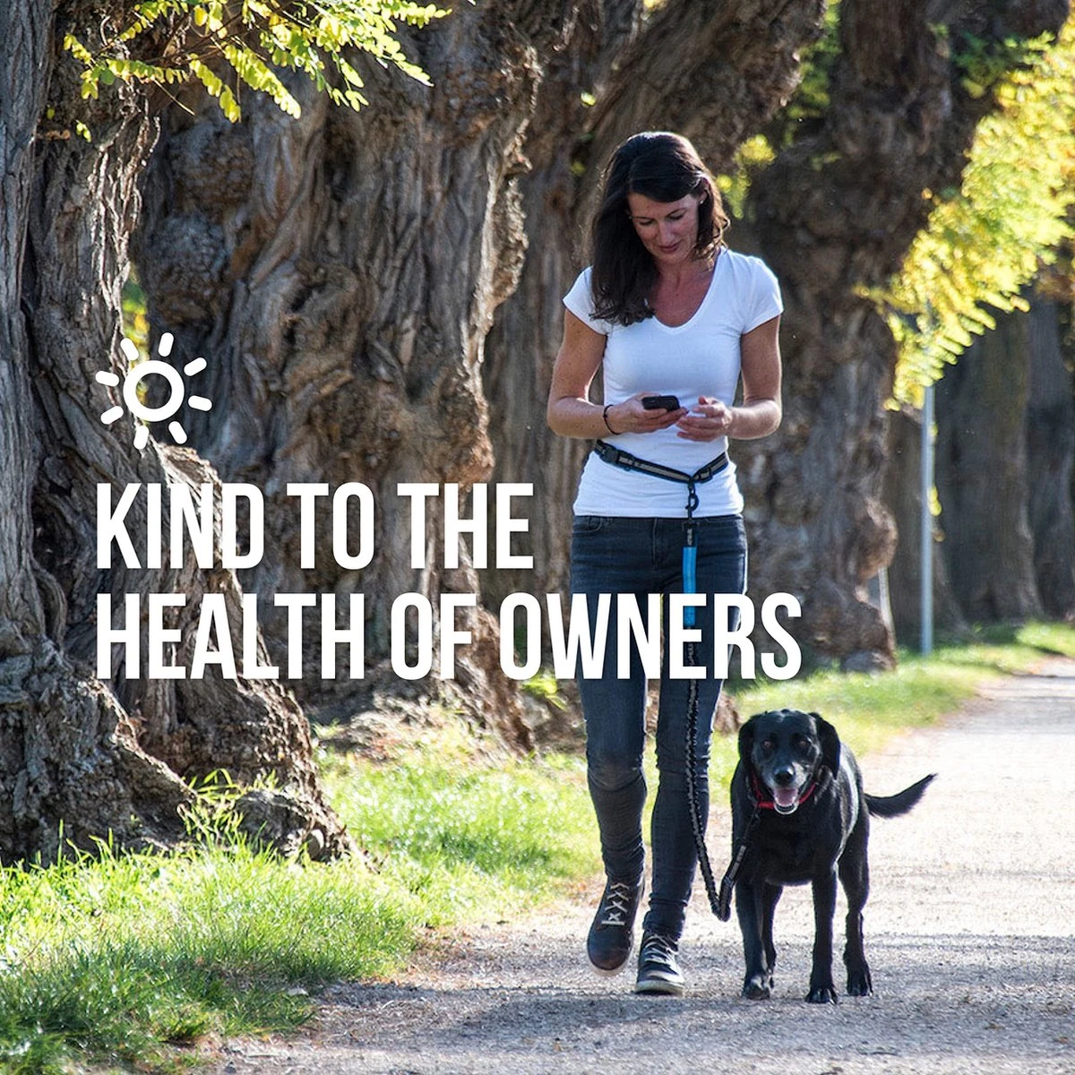 Happilax Joggingriem Voor Honden, Elastische En Reflecterende Hondenriem Voor Joggen Met Buikband, 100-160 Cm 8 Happilax Joggingriem Voor Honden, Elastische En Reflecterende Hondenriem Voor Joggen Met Buikband, 100-160 Cm - Afbeelding 6