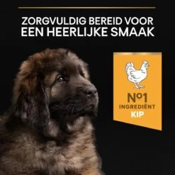 Pro Plan Healthy Start Puppy Large Robust - Honden Droogvoer - Kip - 12 Kg -Hondenspullen Verkoop 1200x1200 41