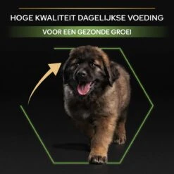 Pro Plan Healthy Start Puppy Large Robust - Honden Droogvoer - Kip - 12 Kg -Hondenspullen Verkoop 1200x1200 42