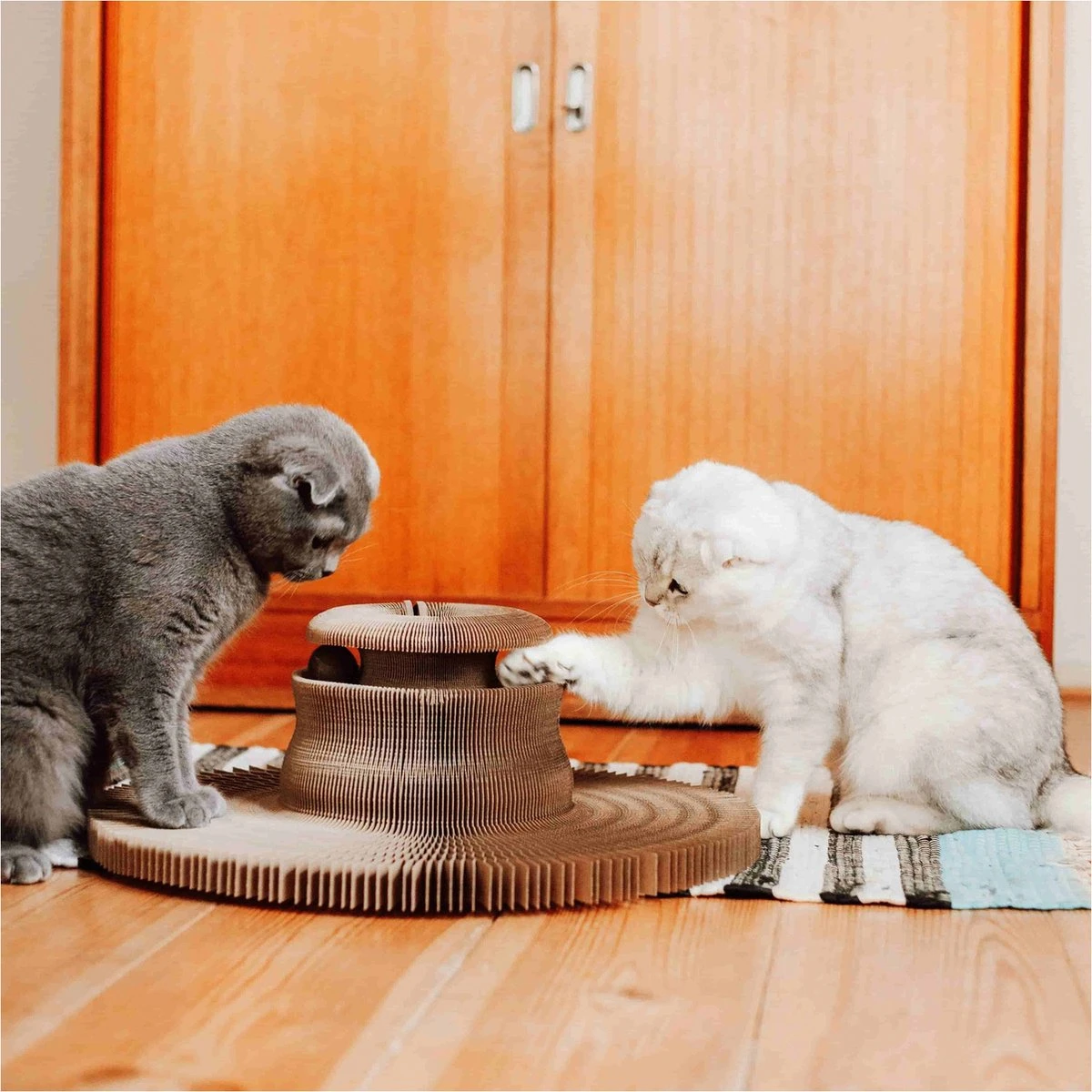 District 70 MAZE 3-in-1 Opvouwbare Kartonnen Kattenmand - Inclusief Catnip Balletje - Voor Slapen, Spelen En Krabben! 6 District 70 MAZE 3-in-1 Opvouwbare Kartonnen Kattenmand - Inclusief Catnip Balletje - Voor Slapen, Spelen En Krabben! - Afbeelding 4