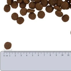 Vetality Hypoallergenic Hondenvoer - 10 Kg -Hondenspullen Verkoop 1200x1200 44