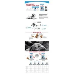 Royal Canin Maxi Puppy 4 KG -Hondenspullen Verkoop 1200x1200 47