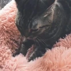 Snoozle Donut Hondenmand - Zacht En Luxe Hondenkussen - Wasbaar - Fluffy - Hondenmanden - 50cm - Grijs -Hondenspullen Verkoop 1200x1200 486