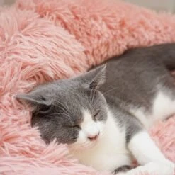 Topmast Fluffy Donut - Dierenmand - Donut Hondenmand - Roze - 50 Cm 15 Topmast Fluffy Donut - Dierenmand - Donut Hondenmand - Roze - 50 Cm -Hondenspullen Verkoop 1200x1200 491