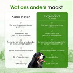 DOG OPTIMAL ALLERGY SUPPORT 90 Stuks - Allergie - Honden - Hondensnacks - Hondenkoekjes - Hondensupplementen - Honden - Puppy - Hondenvoeding - Weerstand - Supplement -Hondenspullen Verkoop 1200x1200 5