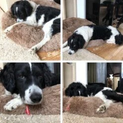 Snoozle Donut Hondenmand - Zacht En Luxe Hondenkussen - Wasbaar - Fluffy - Hondenmanden - 70cm - Creme Bruin -Hondenspullen Verkoop 1200x1200 541