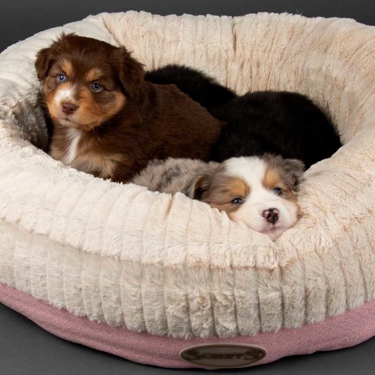 Scruffs Ellen Donut - Warme Hondenmand Van Imitatiebont - Kleur Grijs, Roze Of Bruin - Maat M Of L - Kleur: Grijs, Maat: Medium 14 Scruffs Ellen Donut - Warme Hondenmand Van Imitatiebont - Kleur Grijs, Roze Of Bruin - Maat M Of L - Kleur: Grijs, Maat: Medium - Afbeelding 12