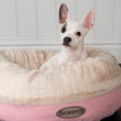 Scruffs Ellen Donut - Warme Hondenmand Van Imitatiebont - Kleur Grijs, Roze Of Bruin - Maat M Of L - Kleur: Grijs, Maat: Medium 34 Scruffs Ellen Donut - Warme Hondenmand Van Imitatiebont - Kleur Grijs, Roze Of Bruin - Maat M Of L - Kleur: Grijs, Maat: Medium -Hondenspullen Verkoop 1200x1200 551