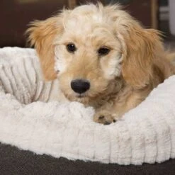 Scruffs Ellen Donut - Warme Hondenmand Van Imitatiebont - Kleur Grijs, Roze Of Bruin - Maat M Of L - Kleur: Grijs, Maat: Medium 35 Scruffs Ellen Donut - Warme Hondenmand Van Imitatiebont - Kleur Grijs, Roze Of Bruin - Maat M Of L - Kleur: Grijs, Maat: Medium -Hondenspullen Verkoop 1200x1200 552