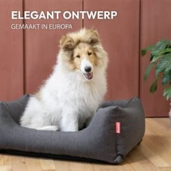 Snoozle Hondenmand - Zacht En Luxe Hondenkussen - Hondenbed - Wasbaar - Hondenmanden - 80 X 60cm 15 Snoozle Hondenmand - Zacht En Luxe Hondenkussen - Hondenbed - Wasbaar - Hondenmanden - 80 X 60cm -Hondenspullen Verkoop 1200x1200 574