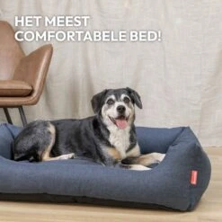Snoozle Hondenmand - Zacht En Luxe Hondenkussen - Hondenbed - Wasbaar - Hondenmanden - 80 X 60cm 17 Snoozle Hondenmand - Zacht En Luxe Hondenkussen - Hondenbed - Wasbaar - Hondenmanden - 80 X 60cm -Hondenspullen Verkoop 1200x1200 575