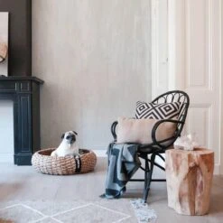 District 70 COCOON - Luxe Hondenmand Van Duurzaam Hoogwaardig Riet Met Zacht Kussen - Maten S/M/L - Large -Hondenspullen Verkoop 1200x1200 598