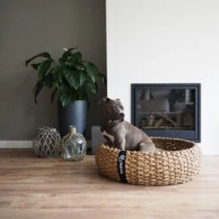 District 70 COCOON - Luxe Hondenmand Van Duurzaam Hoogwaardig Riet Met Zacht Kussen - Maten S/M/L - Large -Hondenspullen Verkoop 1200x1200 603