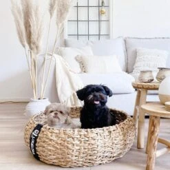 District 70 COCOON - Luxe Hondenmand Van Duurzaam Hoogwaardig Riet Met Zacht Kussen - Maten S/M/L - Large -Hondenspullen Verkoop 1200x1200 605