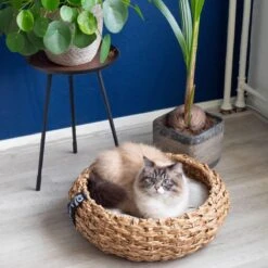 District 70 COCOON - Luxe Hondenmand Van Duurzaam Hoogwaardig Riet Met Zacht Kussen - Maten S/M/L - Large -Hondenspullen Verkoop 1200x1200 609