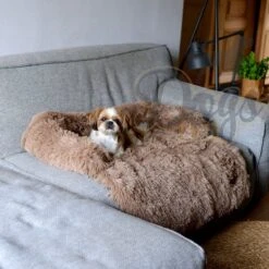 Dogs&Co Zachte Fluffy Hondenmat Voor Bank Maat S Khaki 75x75cm - HONDENMAND 11 Dogs&Co Zachte Fluffy Hondenmat Voor Bank Maat S Khaki 75x75cm - HONDENMAND -Hondenspullen Verkoop 1200x1200 624