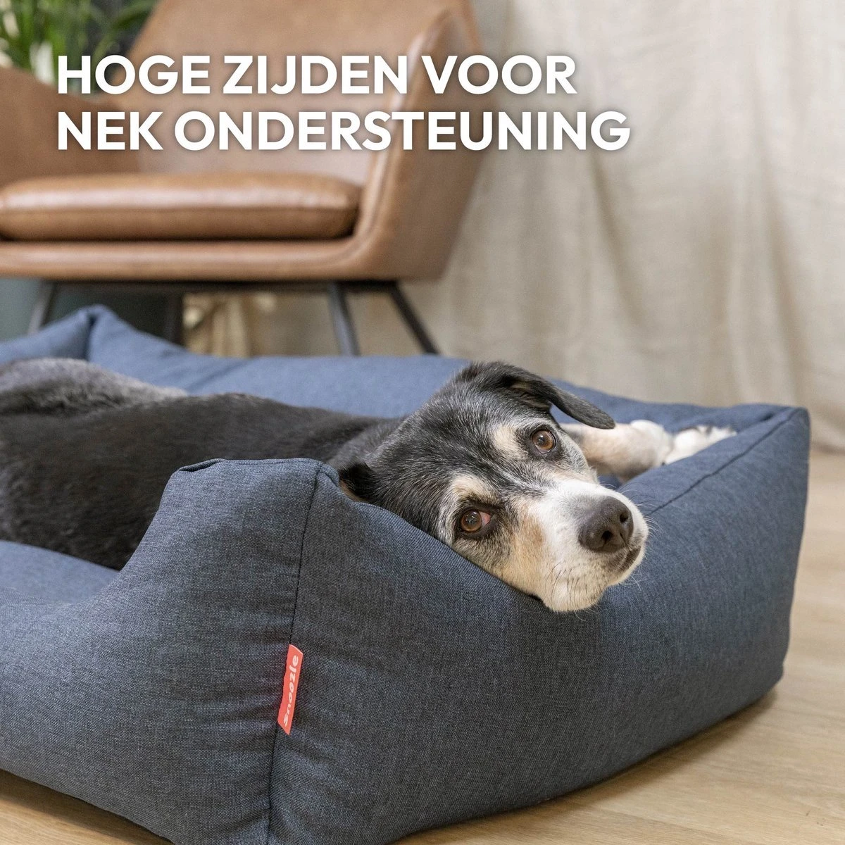 Snoozle Hondenmand - Zacht En Luxe Hondenkussen - Hondenbed - Wasbaar - Hondenmanden - 100 X 70cm 4 Snoozle Hondenmand - Zacht En Luxe Hondenkussen - Hondenbed - Wasbaar - Hondenmanden - 100 X 70cm - Afbeelding 2