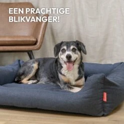 Snoozle Hondenmand - Zacht En Luxe Hondenkussen - Hondenbed - Wasbaar - Hondenmanden - 100 X 70cm 17 Snoozle Hondenmand - Zacht En Luxe Hondenkussen - Hondenbed - Wasbaar - Hondenmanden - 100 X 70cm -Hondenspullen Verkoop 1200x1200 647
