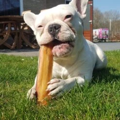 Topdiervoeding Runderkophuid Hondensnacks - Vers Gedroogd - 20cm - 1000 Gram -Hondenspullen Verkoop 1200x1200 66