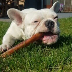 Topdiervoeding Runderkophuid Hondensnacks - Vers Gedroogd - 20cm - 1000 Gram -Hondenspullen Verkoop 1200x1200 67