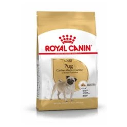 Royal Canin Mopshond/Pug Adult - Hondenvoer - 3 Kg -Hondenspullen Verkoop 1200x1200 69