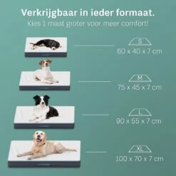 CozySense® - Orthopedisch Hondenkussen - Hondenkussen 75 X 45 Cm - Ook Geschikt Als Benchkussen & Hondenbed - Hondenkussen Bank - Traagschuim - Waterdicht - Wasbare Hoes - Maat M 11 CozySense® - Orthopedisch Hondenkussen - Hondenkussen 75 X 45 Cm - Ook Geschikt Als Benchkussen & Hondenbed - Hondenkussen Bank - Traagschuim - Waterdicht - Wasbare Hoes - Maat M -Hondenspullen Verkoop 1200x1200 690