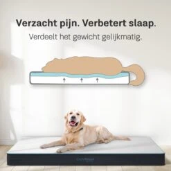 CozySense® - Orthopedisch Hondenkussen - Hondenkussen 75 X 45 Cm - Ook Geschikt Als Benchkussen & Hondenbed - Hondenkussen Bank - Traagschuim - Waterdicht - Wasbare Hoes - Maat M 12 CozySense® - Orthopedisch Hondenkussen - Hondenkussen 75 X 45 Cm - Ook Geschikt Als Benchkussen & Hondenbed - Hondenkussen Bank - Traagschuim - Waterdicht - Wasbare Hoes - Maat M -Hondenspullen Verkoop 1200x1200 691
