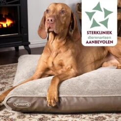 Scruffs Chateau - Hondenbed Orthopedisch Met Memory Foam Voor Extra Steun Voor Rug En Gewrichten - Grijs & Bruin Maat M/L - Kleur: Grijs, Maat: Large -Hondenspullen Verkoop 1200x1200 705